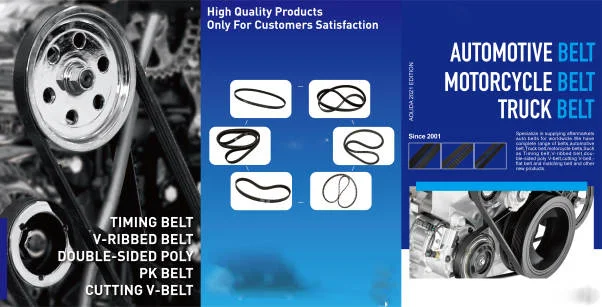 VIT  Drive Belt V-belt  8DN176410100 manufacture