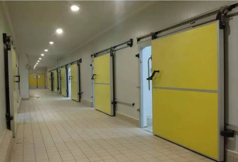 Competitively priced construction refrigerator doors for frozen item storage