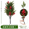 Plante de Noël à Racine Unique - 1