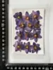MH396 dyed purple 12pcs/bag