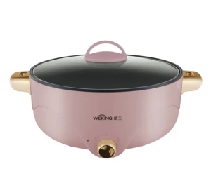 New Design Electric Stove 3L 4L Cooking Hot Pot Multipurpose Pan Plastic Body Customized Color for Chinese Brands Appliances