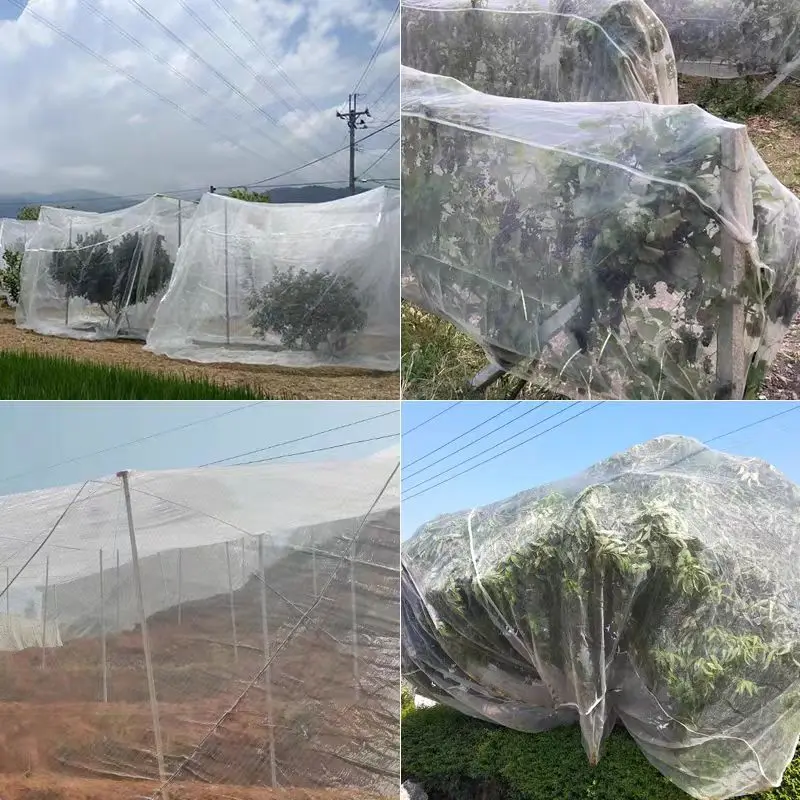 用于番石榴、樱桃、杨梅树和蔬菜的植物防虫网和鸟类防护网 - 防蚊蝇网，中国制造