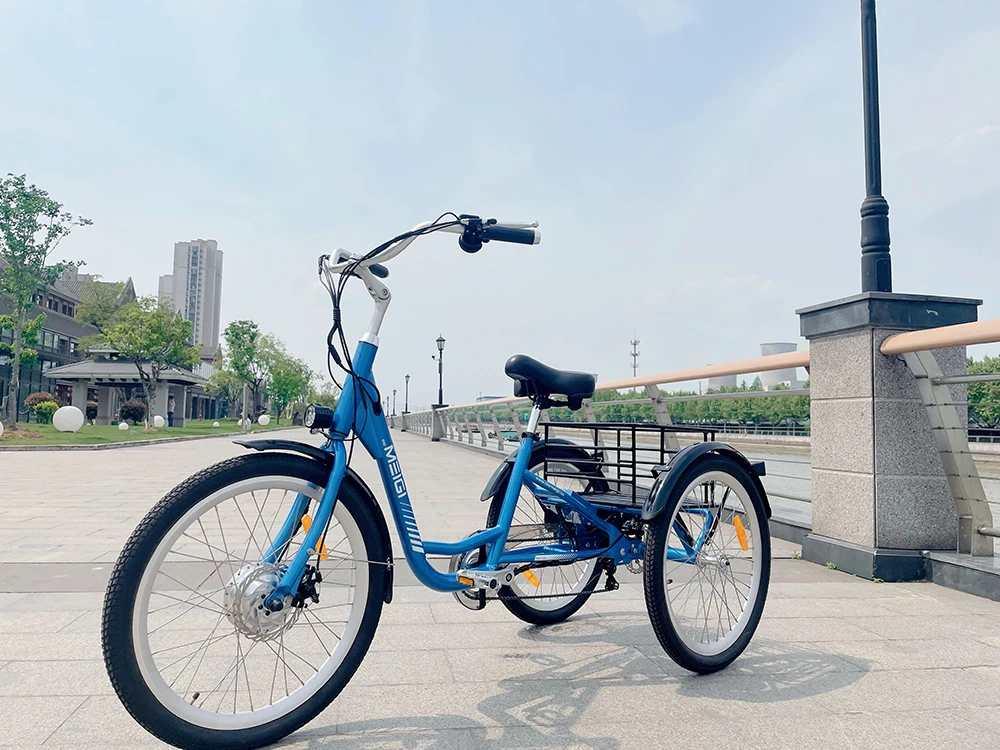 Ezreal Fat Tire Electric Bicycle Three Wheel 750 Watt Electric Bike 24