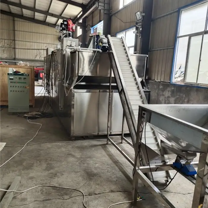 Full Automatic Continuous Coating and Roasting German Roasted Nuts Sunflower Seeds Peanut Roaster Machine