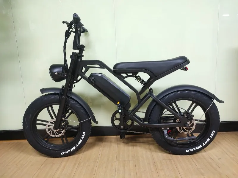 Europa V20 Ebike Upgrade Fat Tire Mountain Off-road Ebike Sport ...