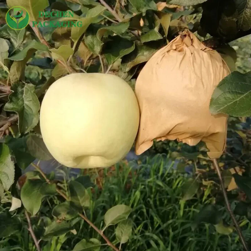 Paper Apple Bags Biodegradable Fruit Protection Bag