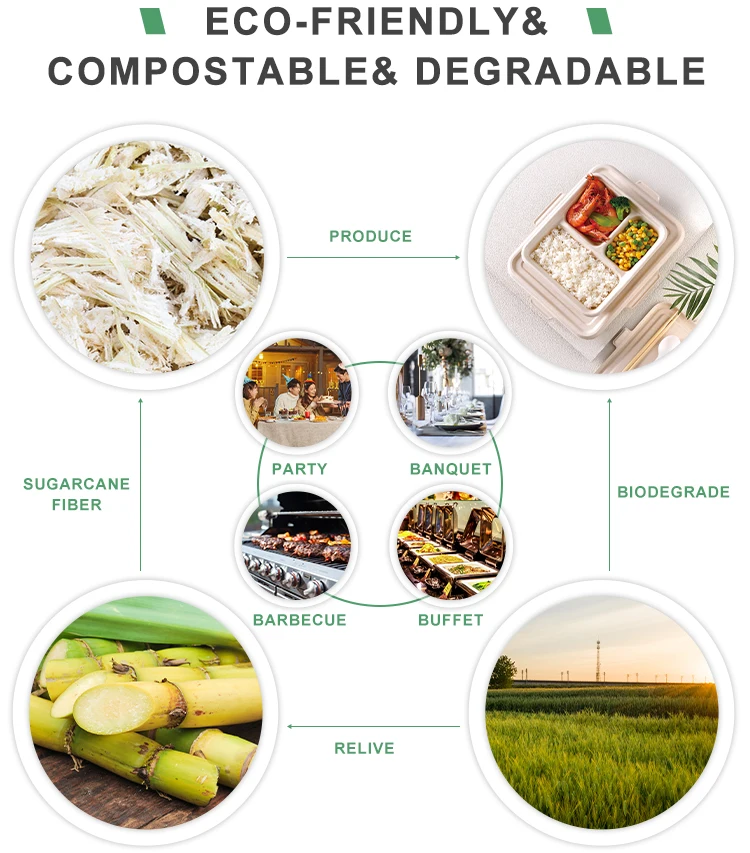 Customized Two-Compartment Bagasse Plates Friendly Food Divided Plates Party Supplies 100% Compostable Sugarcane Plates