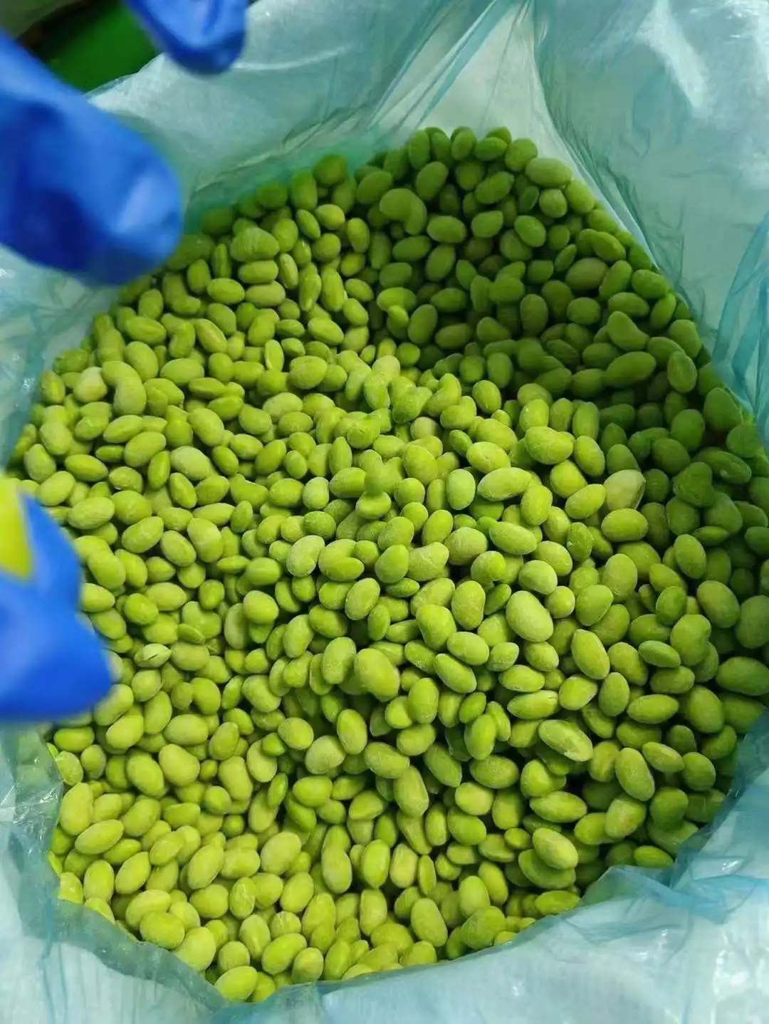 China Supplier High Quality Bulk IQF Frozen Green Edamame Soybean
