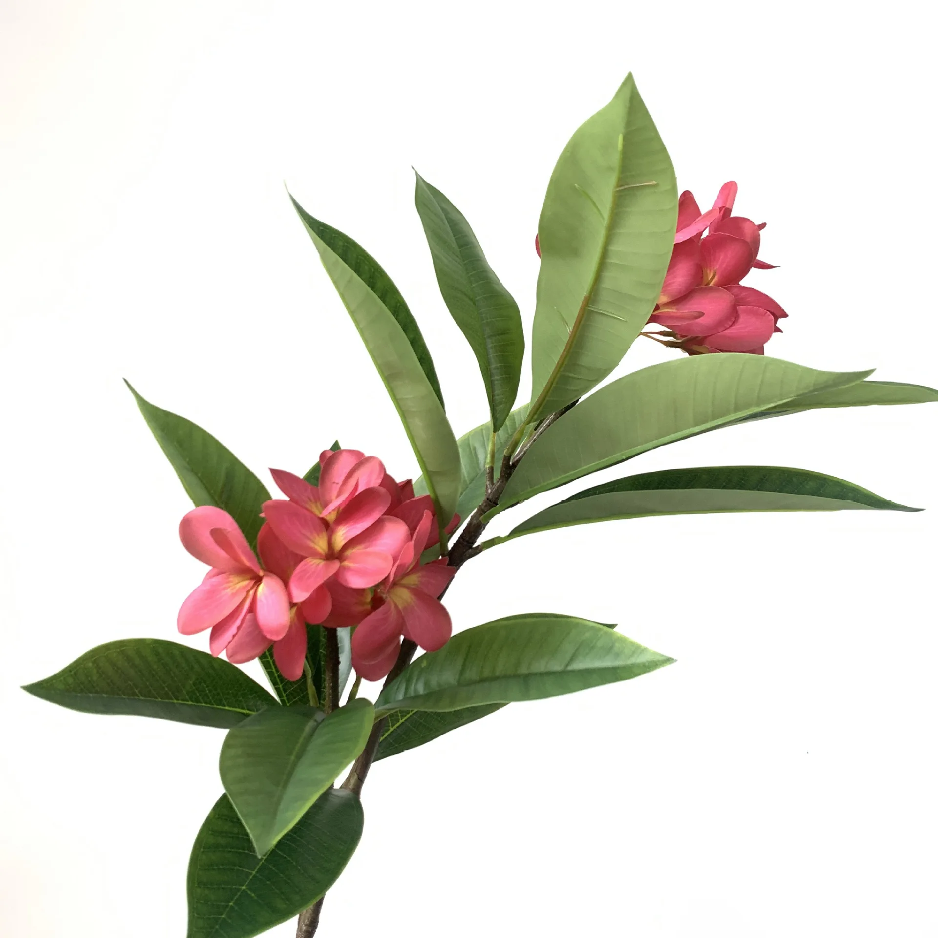 High Quality Plumeria Single Stem 3d Real Touch Plumeria Flower For ...