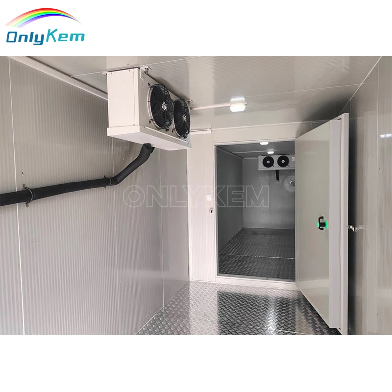 Cooling Container Freezer Container Walk in Freezer Cooler Room for Sale