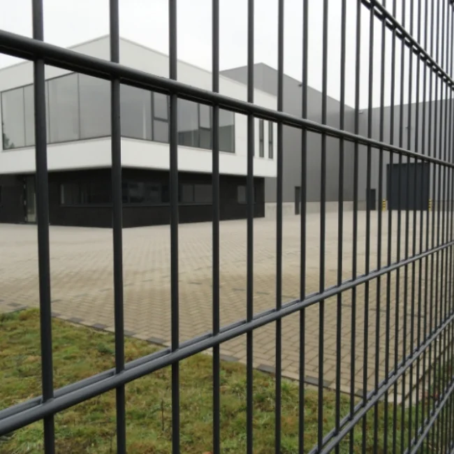 Germany 868 656 Double Wire Security Fence Zaun Powder Coated Twin Galvanized Double Welded Wire Mesh with Double Rod Mats