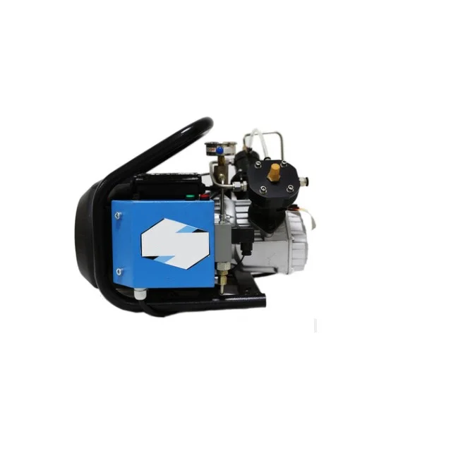 Air Compressor Pump 30MPa Electric High Pressure System Rifle 220V 4500PSI DE 