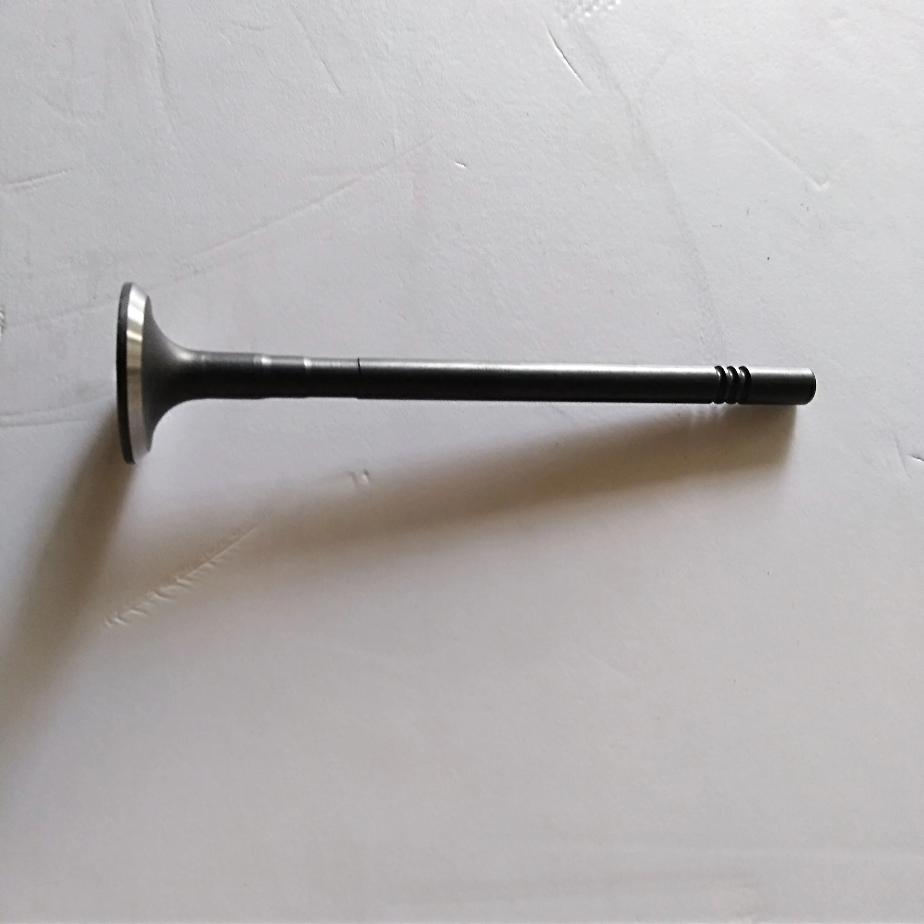 15SU41Engine Valve for MG350 OEM 10049010  10049011