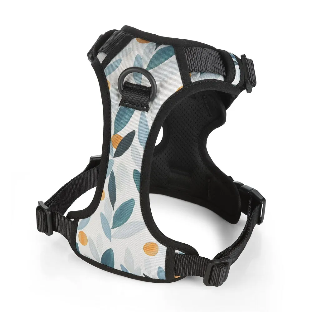 Amazon Hot Sale Dog Harness Vest Belt Pet Supplies Outdoor Sports Dog Harness And Leash Set Pet