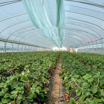 Long Life Agricultural Single Span Greenhouse Manufacturer Plastic Film Green House