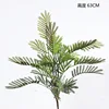 Autumn colors of the mimosa fern