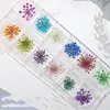 H105-12 flowers