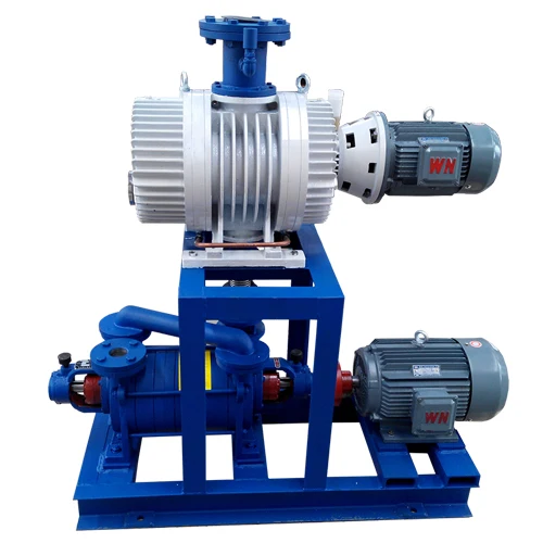 DLV600 Double Stage Liquid Ring Vacuum Pump Stainless Steel Water Ring Pump