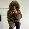 raccoon brown