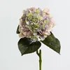 Rosa-Viola-Verde