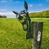 Burro 2