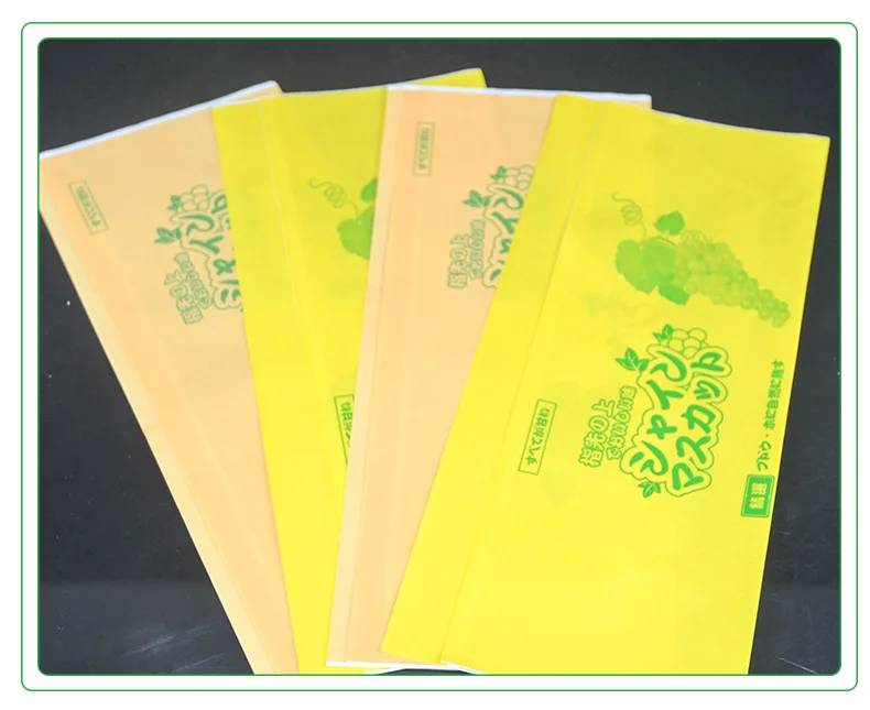 Fruit Growing Gravure Printed Carbon Coated Recyclable Brown Kraft Paper Bags Square Bottom Custom Logo Custom Color Patch