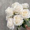 แชมเปญ