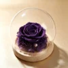 Morado intenso