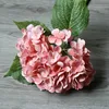 Rosa intenso