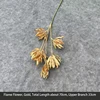 3 Heads Flame Flower