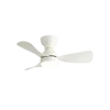White+White