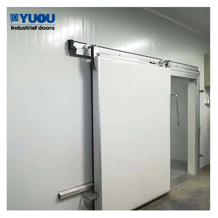 Commercial Cold Storage Food Factory Manual Automatic Sliding Special Platform Hinged Cold Room Door