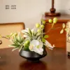Ramas claras y rimas blancas.