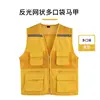 yellow vest