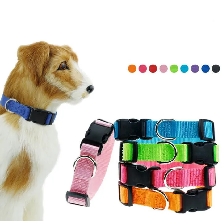 Wholesale Nylon Pet Id Collar Cat Dog Accessories Adjustable Pet Collars In Promotion - Buy Dog Collar Id,Nylon Collar,Adjustable Dog Collar on Alibaba.com