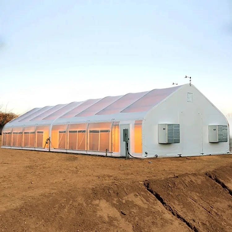 Cheap Pe Agricultural Green Houses Tunnel Plastic Film Blackout Light