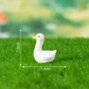 colorful Little Swan No. 3
