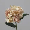 Champagne pink