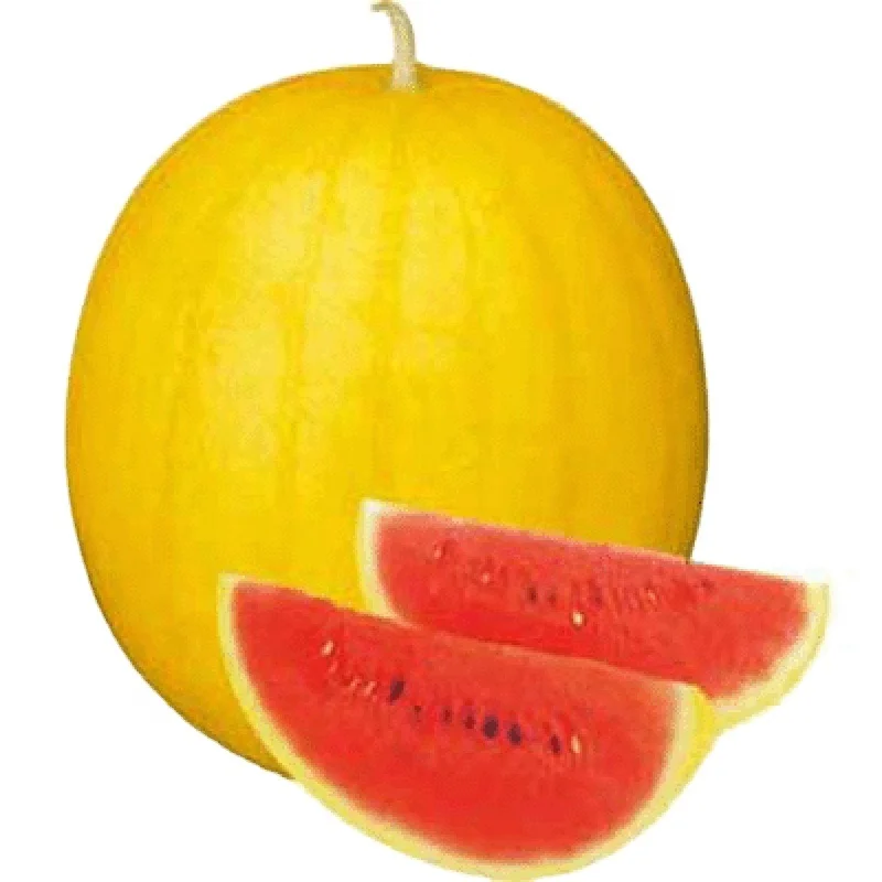 yellow skin red flesh mini watermelon seeds for gift planting in