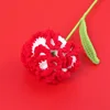 Finished carnation flower branch (red gradient)