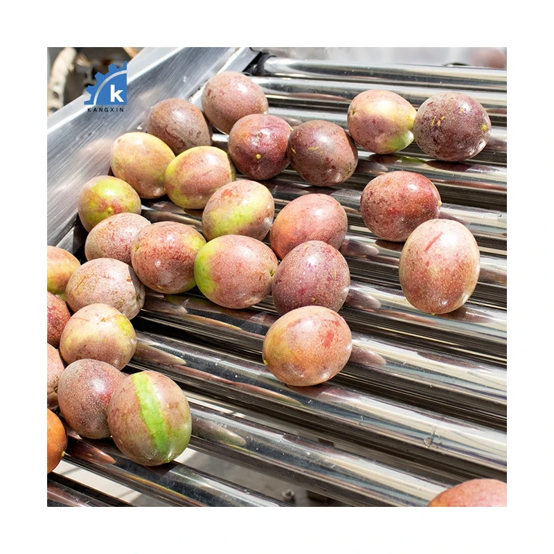 Widely Used Olive Fruit Sorting Machine Coffee Cherries Sorter Cherry Grading Grader
