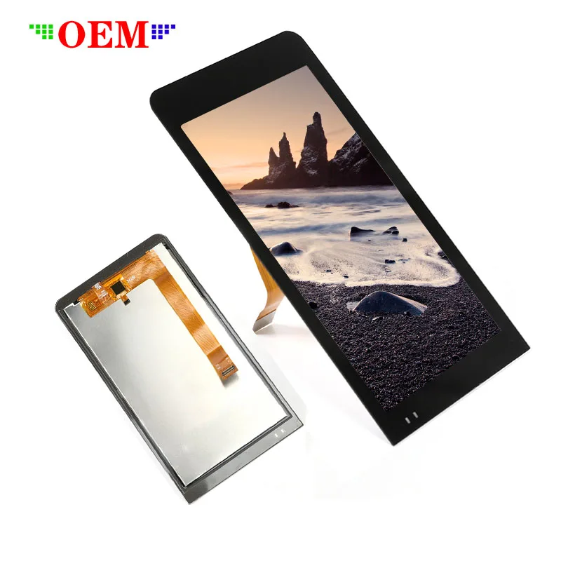 Manufacturer 10 Inch Amoled Spi Dsi Mipi 4 Lane Dsi Lcd Oled Full Display 10.1" Display Modules