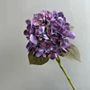 สีม่วง