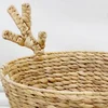 Natural Hyacinth Color
