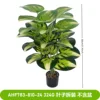 AHF783-810-24