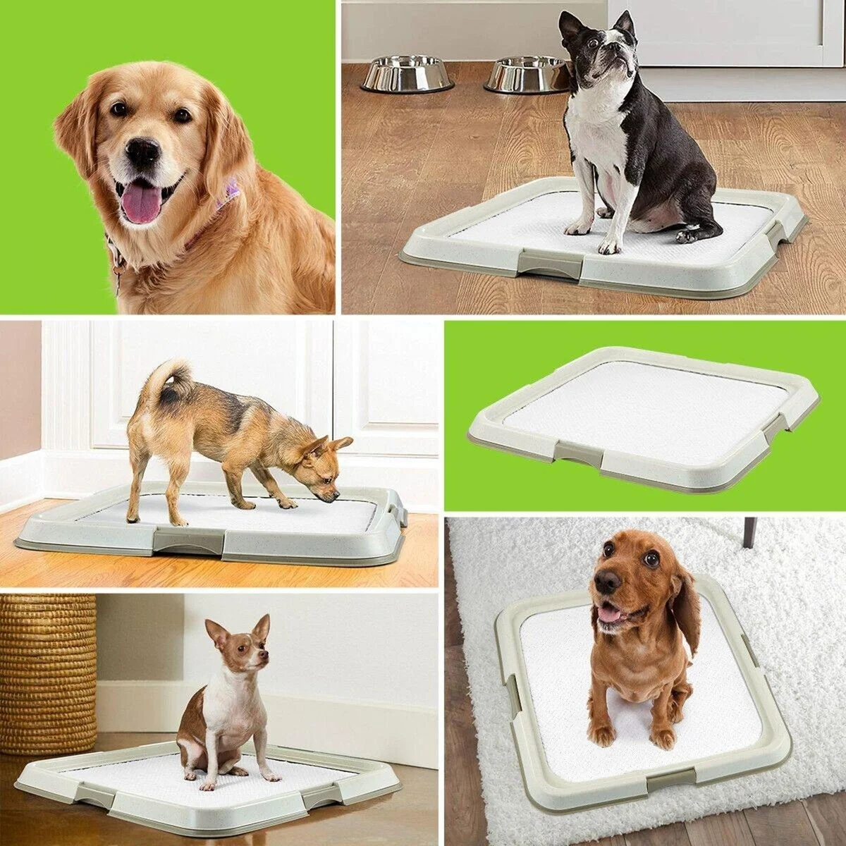Pawise Top Sale Large Pet Pee Pad Holder Durable Leak-proof