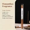 fragrance of osmanthus