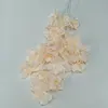 Plain champagne color