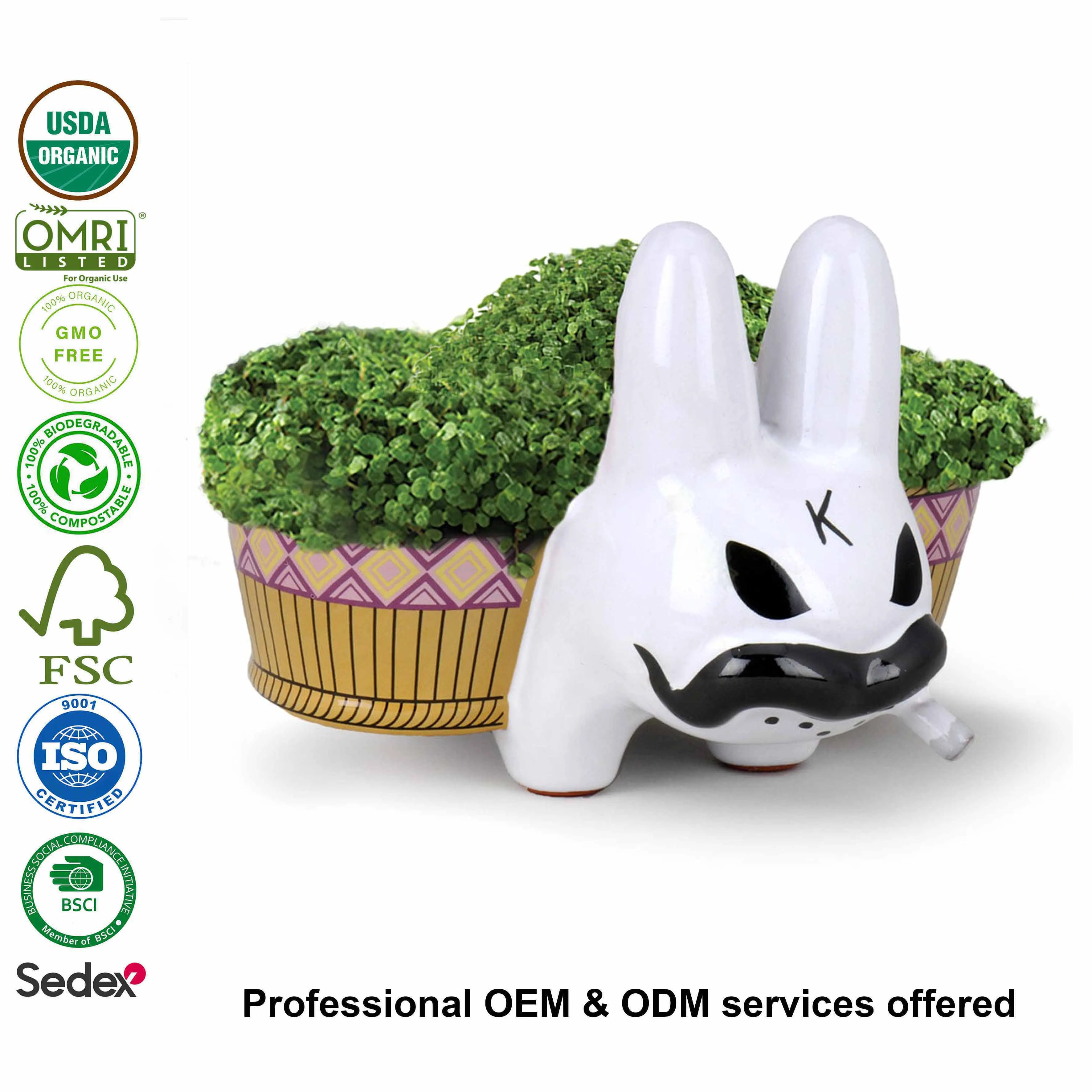 Custom Ceramic Anime Chia Pet White Smorkin Labbit