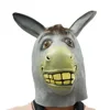 maschera da asino